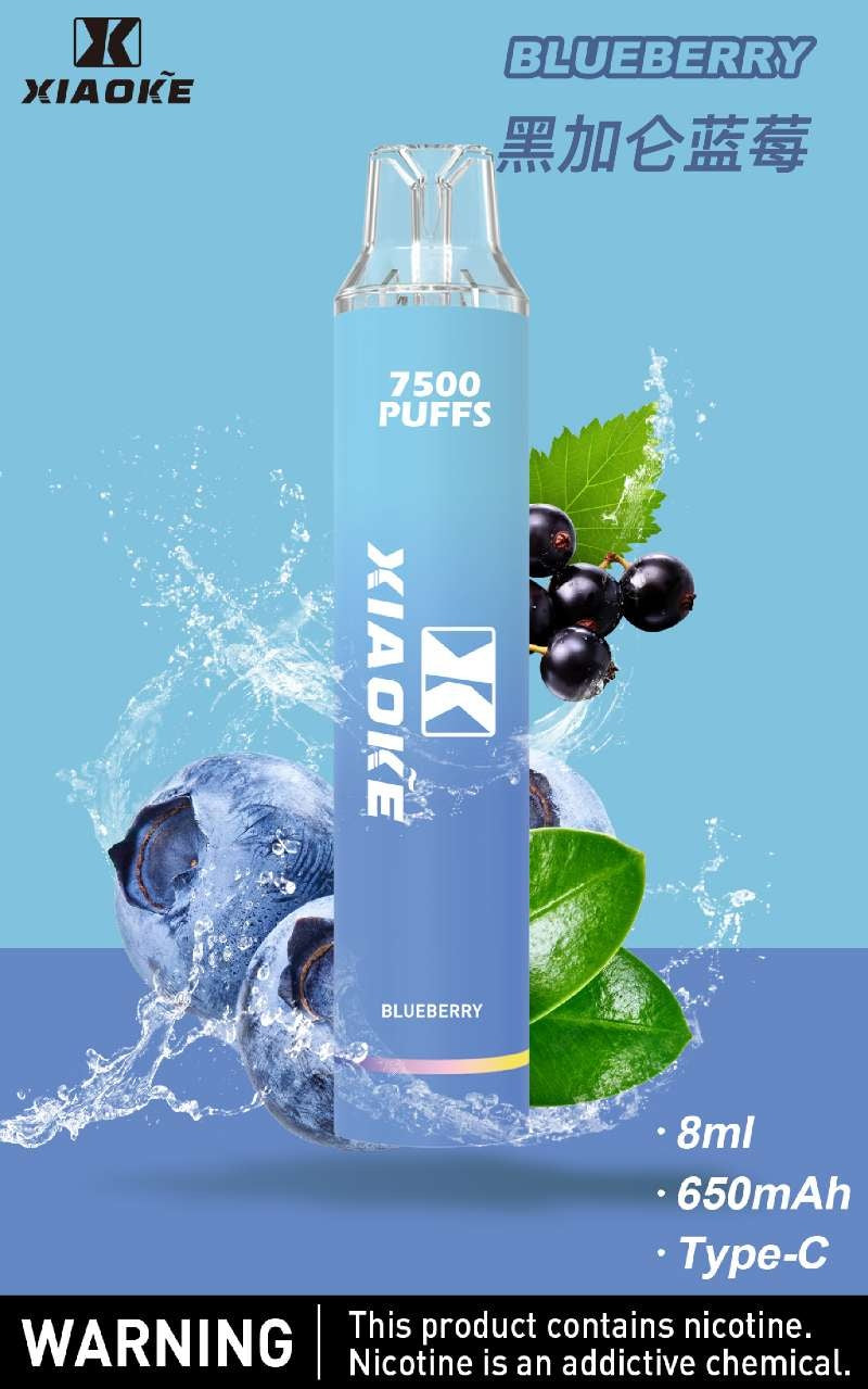 台灣現貨 梟客XIAOKE 7500口 發光仙女棒 拋棄式/一次性電子煙